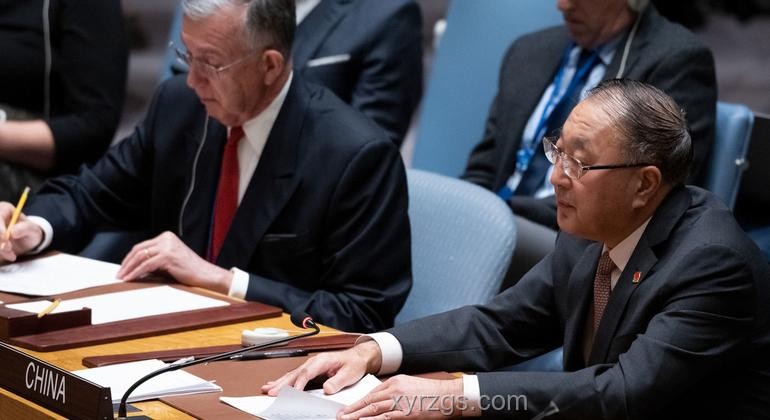 美国一票否决与加沙人道决议草案的对比分析
